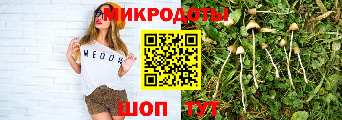 Псилоцибиновые грибы Cubensis  Галлюциногенные грибы Cubensis  Осинники  Вход с VPN 
